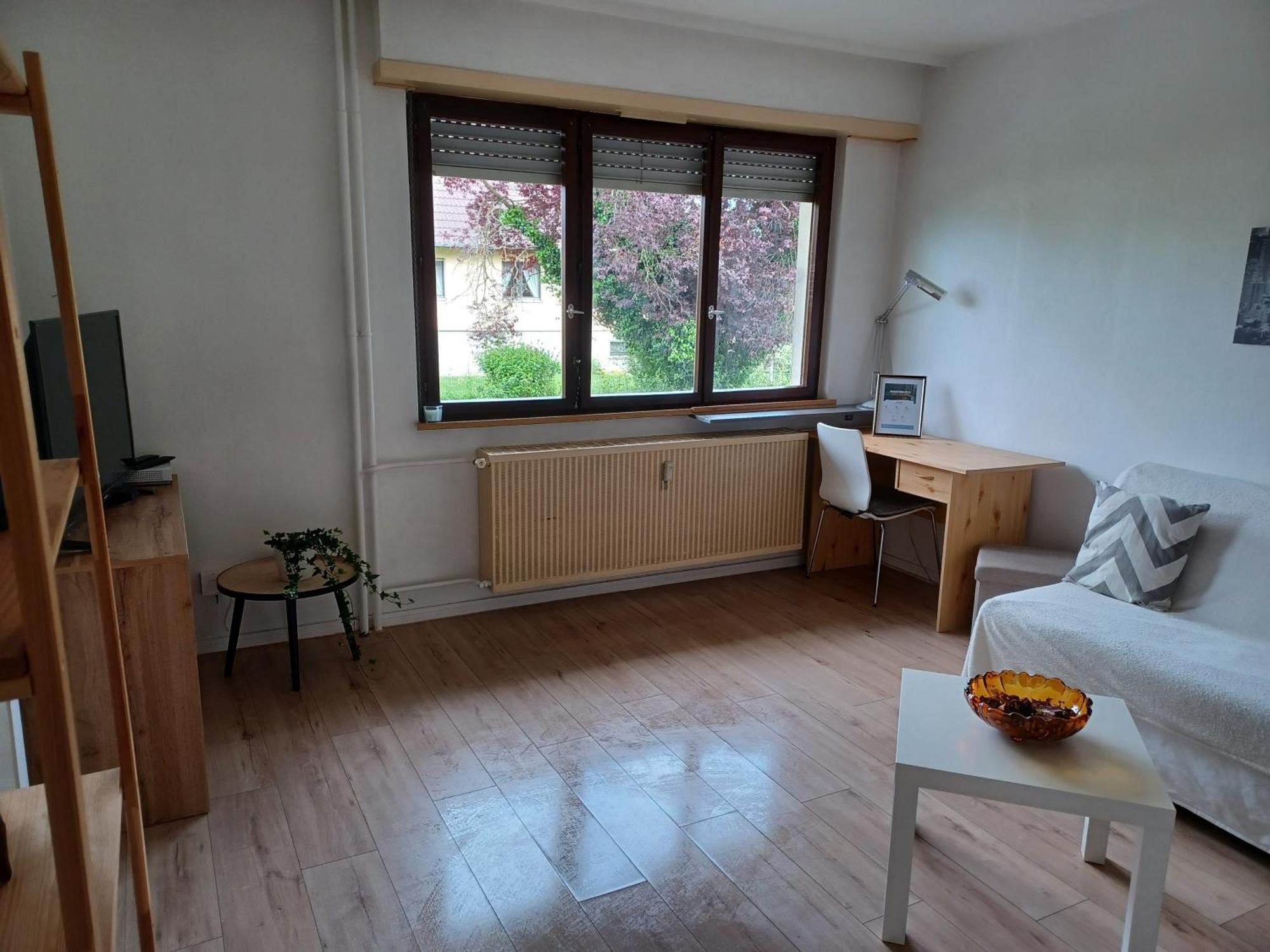 Studio Rdc Calme Avec Parking Ferme Pres Autoroute Et Tram C Mulhouse Exterior photo