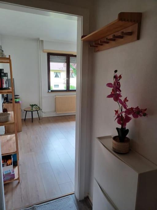 Studio Rdc Calme Avec Parking Ferme Pres Autoroute Et Tram C Mulhouse Exterior photo